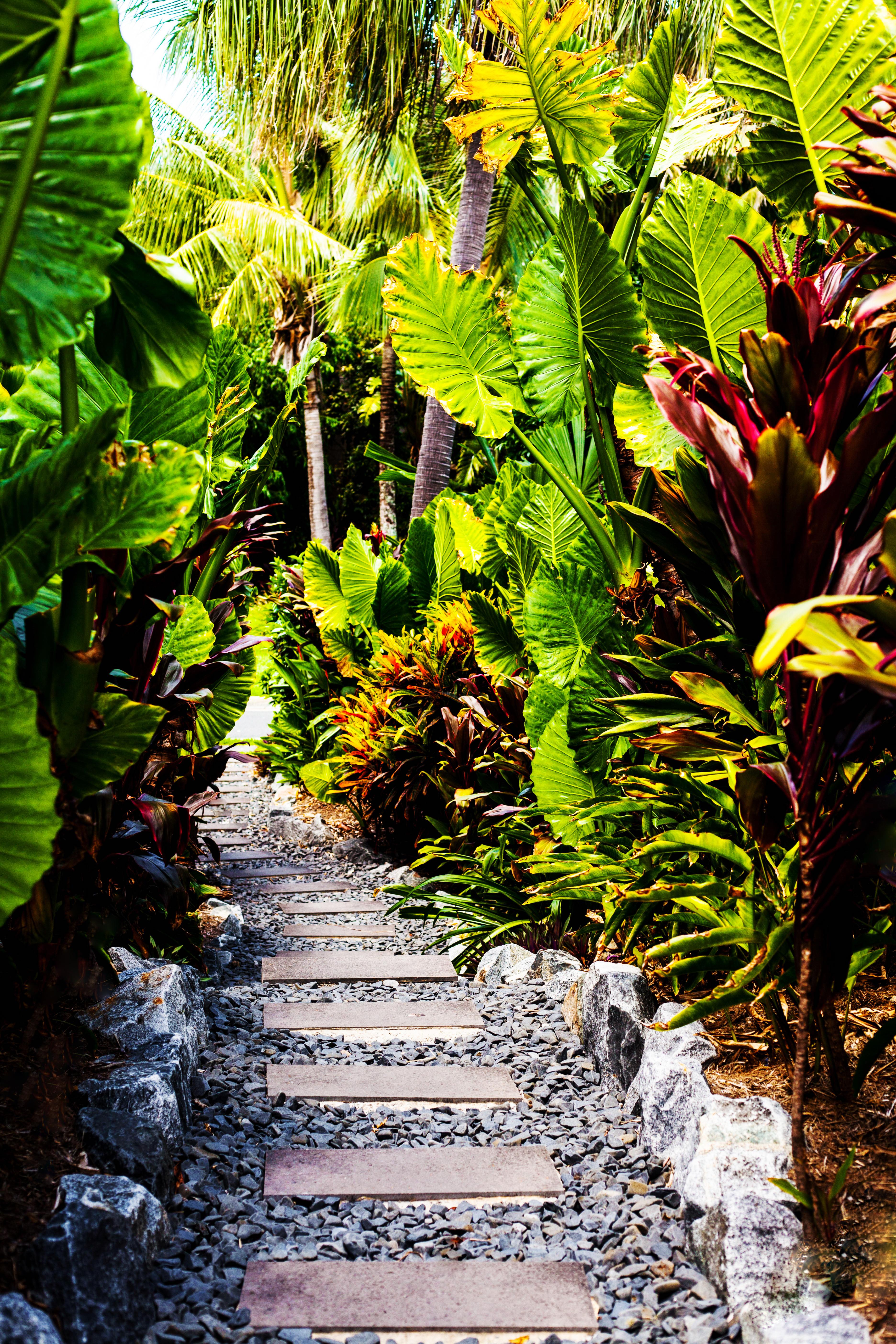 Hamilton Island Holiday Homes Exteriör bild